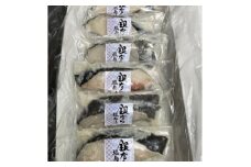 ＜毎月定期便＞銀だら塩麹漬(100g×6切れ)全6回【4007831】
