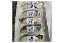 ＜毎月定期便＞銀だら塩麹漬(100g×6切れ)全12回【4007848】