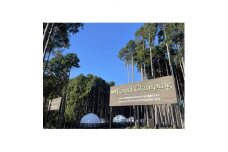 静岡県伊東市＜奏の森リゾート＞フォレストグランピング　豪華BBQプラン　宿泊券【1487784】
