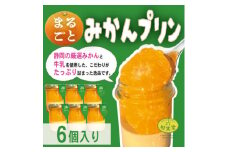 〔伊東温泉大人気〕丸ごとみかんプリン6個入【1538905】