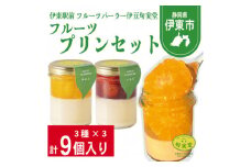 〔伊東温泉で人気〕フルーツプリンセット9個入【1538919】