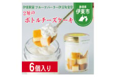 〔伊東温泉で人気〕旬実堂 2層仕立てのチーズケーキ6個入【1538930】