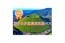 旅する伊豆高原応援パス 2,000円チケット 20枚セット【1543319】