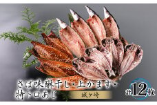 12枚入干物セット＜城ヶ崎＞特トロあじ・さばの味醂干し・上かます　各4枚伊豆・伊東の干物詰め合わせ【1607069】