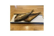 鮎の酒盗干し生タイプ　2枚入り　10セット【1625161】