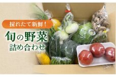 [№5695-0506]新鮮獲れたて！ まんさいかん島田 季節の野菜詰め合わせ セット 　 野菜セット 旬の野菜 旬 野菜詰め合わせ 野菜詰め合わせセット 産地直送 静岡 島田市