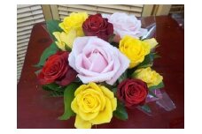 [№5695-0530]薔薇のアレンジメント(S)