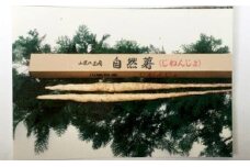 [№5695-0602]自然薯（川根産）