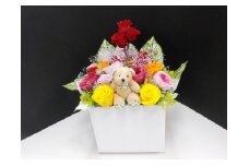 [№5695-0535]薔薇のアレンジメント(夏L)