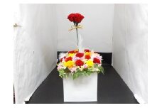 [№5695-0537]薔薇のアレンジメント(夏XL)
