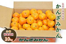 [№5695-0983]みかん 10kg 島田市神座特産 かんざみかん 青島温州 フルーツ 果物 くだもの 旬のフルーツ 旬の果物 温州みかん 柑橘 柑橘類 静岡 静岡県 島田市