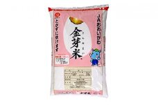 [№5695-1041]無洗米 静岡県産 JAおおいがわ 金芽米 5kg 米 こめ コメ お米 おこめ 白米 きんめまい JA きぬむすめ ご飯 ライス 静岡 静岡県 島田市 【配送不可：北海道・沖縄・離島】