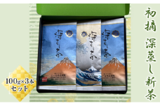 [№5695-1110]初摘　深蒸し新茶100g×3本セット お茶 緑茶 