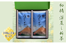[№5695-1109]初摘　深蒸し新茶100g×2本セット お茶 緑茶 