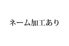 [№5695-7016]【島田の逸品】1104木こりの積木ランド L （ネームあり）