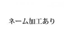 [№5695-7018]【島田の逸品】1105木こりの積木ランド 茶箱（ネームあり）