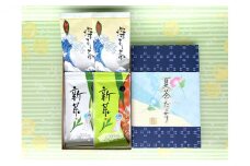 [№5695-1161]初物深蒸し水出ティーバッグ（5g×12個）×2本、深蒸し新茶100g×2本【2025年5月上旬以降より順次発送】