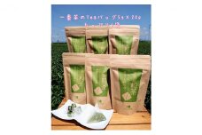 [№5695-1189]一番茶 深蒸し 粉茶 ティーバッグ 20パック 6袋 セット 詰め合わせ ティーバッグ  深蒸し煎茶 深蒸し茶 煎茶 水出し 水出し茶 水出し緑茶 緑茶 日本茶 お茶 茶 飲み物 飲料 ドリンク 静岡茶 静岡 静岡県 島田市