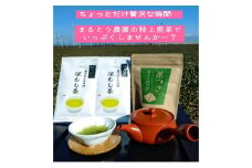 [№5695-1239]ちょっと贅沢♪ 特上深蒸し煎茶リーフと上煎茶ティーバッグ
