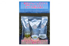 [№5695-1240]生産者直送♪  深蒸し一番茶ティーバッグ100個入×3袋