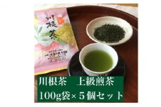 [№5695-1309]川根茶　上級煎茶あさぎり100g×5袋セット【静岡 緑茶 茶葉】