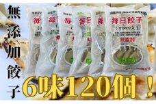 [№5695-1394]安心安全の無添加冷凍ぎょうざ！6種（キャベツ・唐辛子・ニンニク・野菜・レタス・生姜）合計120個！