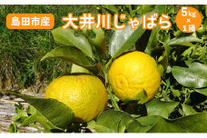 [№5695-1546]【2025年1月中旬より順次発送】 大井川 じゃばら 5kg×1箱 【 数量限定 ！】　花粉症 対策 柑橘