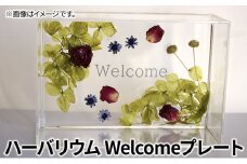 [№5695-1559]ハーバリウム Welcomeプレート　インテリア ハンドメイド 雑貨