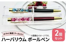 [№5695-1560]ハーバリウム ボールペン2本セット ケース入り！　ハンドメイド 雑貨 ギフト プレゼント
