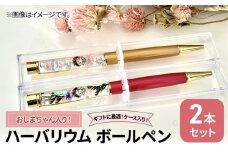 [№5695-1561]おしまちゃん入りハーバリウム ボールペン2本セット ケース入り！　ハンドメイド 雑貨 ギフト プレゼント