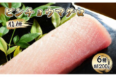 [№5695-1610]ビンチョウマグロ 脂柵 6柵（約1200g）【配送不可：離島】【 まぐろ 刺身 冷凍 びんちょう 】