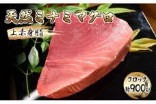[№5695-1611]天然ミナミマグロ 上赤身脂 ブロック（約900g）【配送不可：離島】【 まぐろ 刺身 冷凍 天然 ブロック 】