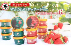 [№5695-1649]いちご ジェラート セット 静岡 ありすふぁーむ 渡瀬の「きらぴ香プレミアムいちごみるくジェラート・いちごジェラート」 12個セット イチゴ 苺 【島田市】
