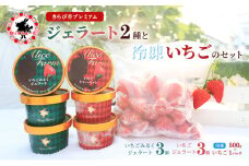 [№5695-1650]いちご 冷凍 ジェラート セット 静岡 ありすふぁーむ 渡瀬の「きらぴ香プレミアムいちごみるくジェラート・いちごジェラート」 6個セット & 冷凍いちご500g イチゴ 苺 【島田市】