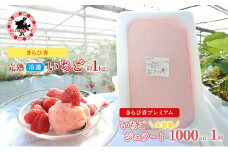 [№5695-1662]いちご 冷凍 ジェラート セット 静岡 ありすふぁーむ 大容量！ジェラート職人監修 いちごのプレミアムジェラート【冷凍いちご１キロ付き！】苺 イチゴ 【島田市】