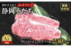 [№5695-1681]静岡 黒毛 和牛 ブランド 「 静岡そだち 」 サーロインステーキ 250g×2枚 合計約500g