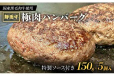 [№5695-1683]【 国産黒毛和牛使用！ 】 静岡牛 極肉ハンバーグ 150g×5個入 特製ソース付き 国産 牛肉 冷凍 静岡 ハンバーグ お惣菜 おかず はんばーぐ お弁当 冷凍