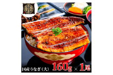 [№5695-1740]うなぎ蒲焼 160g×1尾 うなぎ ウナギ 鰻 蒲焼 蒲焼き冷凍 国産 大五 大五通商 静岡 島田市