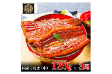 [№5695-1754]うなぎ蒲焼 120g×3尾(360g) うなぎ ウナギ 鰻 蒲焼 蒲焼き冷凍 国産 大五 大五通商 静岡 島田市