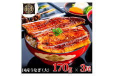 [№5695-1759]うなぎ蒲焼 170g×3尾(510g) うなぎ ウナギ 鰻 蒲焼 蒲焼き冷凍 国産 大五 大五通商 静岡 島田市