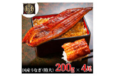 [№5695-1771]うなぎ蒲焼 200g×4尾(800g) うなぎ ウナギ 鰻 蒲焼 蒲焼き冷凍 国産 大五 大五通商 静岡 島田市