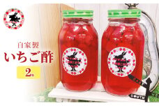 [№5695-1658]苺酢 果実酢 静岡 ありすふぁーむ 自家製 いちご酢 2瓶 苺 イチゴ 【島田市】