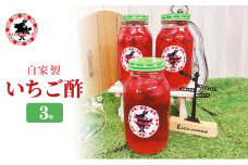 [№5695-1659]苺酢 果実酢 静岡 ありすふぁーむ 自家製 いちご酢 3瓶 苺 イチゴ 【島田市】