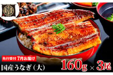 [№5695-1919]先行受付 【7月上旬配送】 うなぎ蒲焼 160g×3尾(480g) うなぎ 鰻 蒲焼 蒲焼き 大五通商 静岡 島田市
