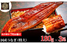 [№5695-1921]先行受付 【7月上旬配送】 うなぎ蒲焼 180g×3尾(540g) うなぎ 鰻 蒲焼 蒲焼き 大五通商 静岡 島田市