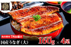 [№5695-1928]先行受付 【7月上旬配送】 うなぎ蒲焼 160g×4尾(640g) うなぎ 鰻 蒲焼 蒲焼き 大五通商 静岡 島田市