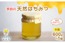 [№5695-1958]種類おまかせ！季節の天然はちみつ（大瓶600g×1個）ハチミツ 蜂蜜 島田市 静岡県