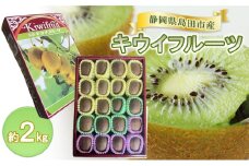 [№5695-1960]キウイフルーツ　約2kg キウイフルーツ 箱 フルーツ 果物 静岡県 島田市 