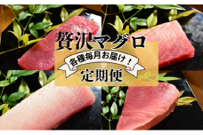 [№5695-2038]【計4回お届け】贅沢マグロ定期便【冷凍】メバチマグロ上赤身・中とろ・ビンチョウマグロ脂柵・天然ミナミマグロ上赤身脂