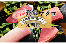[№5695-2040]【計4回お届け】贅沢マグロ定期便【冷凍】メバチマグロ上赤身6柵・中とろ4柵・ビンチョウマグロ脂柵6柵・天然ミナミマグロ上赤身脂450g×2
